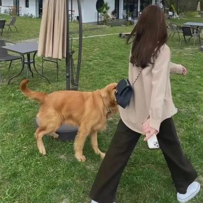 一人之下第三季